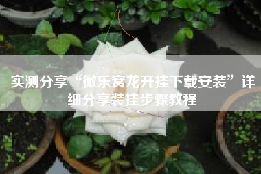 实测分享“微乐窝龙开挂下载安装”详细分享装挂步骤教程