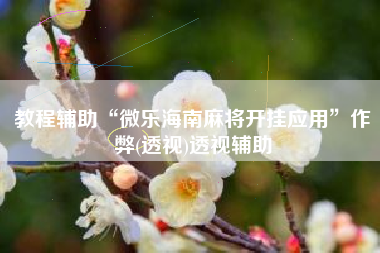 教程辅助“微乐海南麻将开挂应用	”作弊(透视)透视辅助