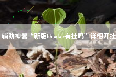辅助神器“新版hhpoker有挂吗”详细开挂