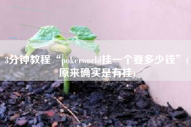 3分钟教程“pokerworld挂一个要多少钱”(原来确实是有挂)
