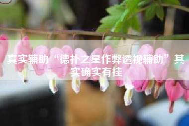 真实辅助“德扑之星作弊透视辅助”其实确实有挂