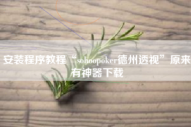 安装程序教程“sohoopoker德州透视”原来有神器下载
