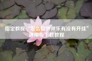 指定教程“怎么检测微乐有没有开挂	”通用版下载教程