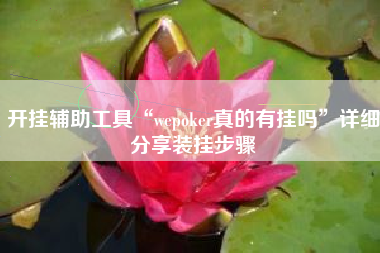 开挂辅助工具“wepoker真的有挂吗”详细分享装挂步骤