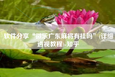 软件分享“微乐广东麻将有挂吗”(详细透视教程)-知乎