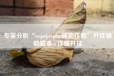 专家分析“wepokerplus辅助作弊”开挂辅助脚本+详细开挂