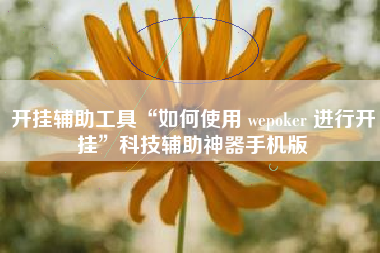 开挂辅助工具“如何使用 wepoker 进行开挂	”科技辅助神器手机版