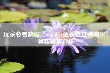 玩家必看教程“wepoker透视挂安装购买”其实确实有挂