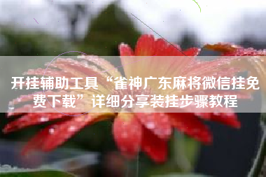 开挂辅助工具“雀神广东麻将微信挂免费下载	”详细分享装挂步骤教程