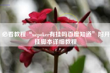 必看教程“wepoker有挂吗百度知道”附开挂脚本详细教程