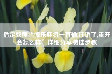 指定教程“微乐麻将一直输,注销了,重开会怎么样	”详细分享装挂步骤