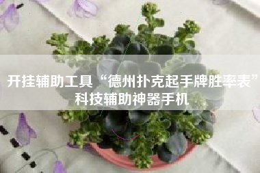 开挂辅助工具“德州扑克起手牌胜率表”科技辅助神器手机