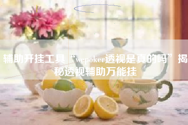 辅助开挂工具“wepoker透视是真的吗”揭秘透视辅助万能挂