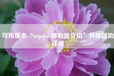 可用版本“wepoker辅助器介绍”开挂辅助详细