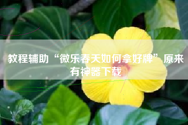 教程辅助“微乐春天如何拿好牌”原来有神器下载