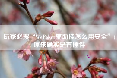 玩家必搜“WePoker辅助挂怎么用安全”(原来确实是有插件