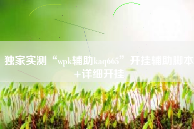 独家实测“wpk辅助kaq665	”开挂辅助脚本+详细开挂