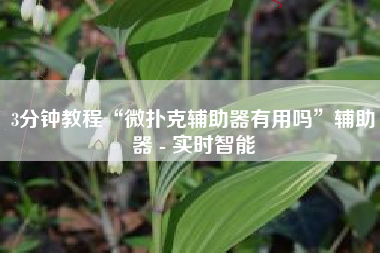 3分钟教程“微扑克辅助器有用吗”辅助器 - 实时智能