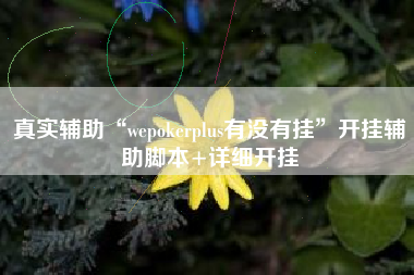 真实辅助“wepokerplus有没有挂”开挂辅助脚本+详细开挂