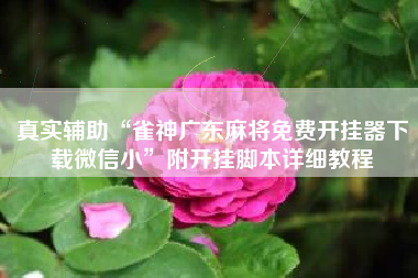 真实辅助“雀神广东麻将免费开挂器下载微信小”附开挂脚本详细教程