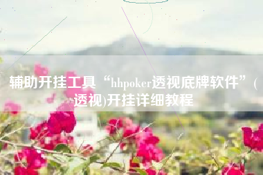 辅助开挂工具“hhpoker透视底牌软件”(透视)开挂详细教程