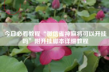 今日必看教程“微信雀神麻将可以开挂吗”附开挂脚本详细教程