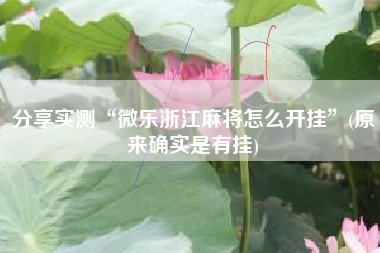 分享实测“微乐浙江麻将怎么开挂”(原来确实是有挂)