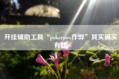 开挂辅助工具“pokernow作弊”其实确实有挂
