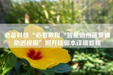 必备科技“必看教程“智星德州菠萝辅助透视脚”附开挂脚本详细教程