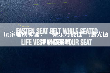 玩家辅助神器：“微乐万能挂”(曝光透视必备猫腻