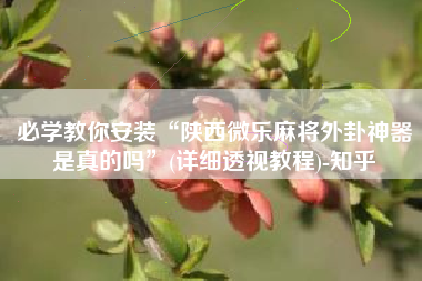 必学教你安装“陕西微乐麻将外卦神器是真的吗”(详细透视教程)-知乎