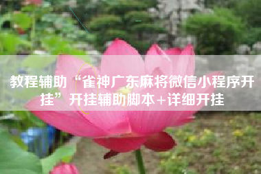 教程辅助“雀神广东麻将微信小程序开挂”开挂辅助脚本+详细开挂