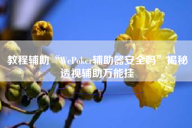 教程辅助“WePoker辅助器安全吗	”揭秘透视辅助万能挂