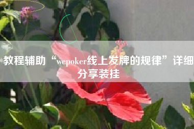 教程辅助“wepoker线上发牌的规律”详细分享装挂