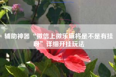 辅助神器“微信上微乐麻将是不是有挂呀”详细开挂玩法