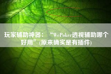 玩家辅助神器：“WePoker透视辅助哪个好用	”(原来确实是有插件)