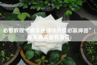 必看教程“微乐跑得快开挂必赢神器	”(原来确实是有插件)