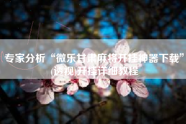 专家分析“微乐甘肃麻将开挂神器下载”(透视)开挂详细教程