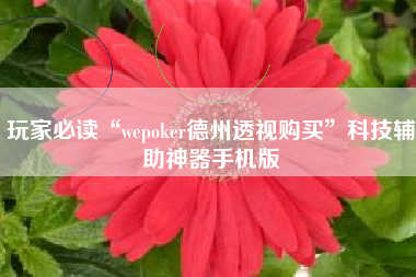 玩家必读“wepoker德州透视购买”科技辅助神器手机版