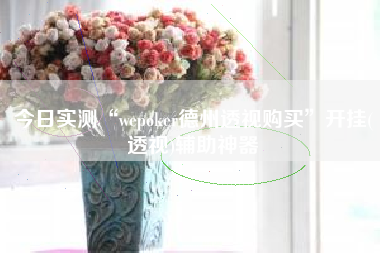 今日实测“wepoker德州透视购买”开挂(透视)辅助神器