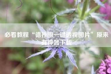 必看教程“德扑圈一键透视图片	”原来有神器下载