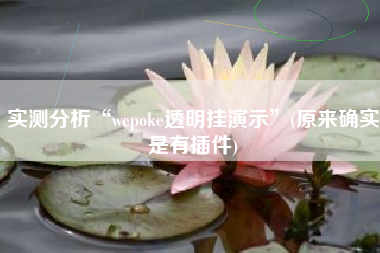 实测分析“wepoke透明挂演示	”(原来确实是有插件)