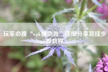 玩家必搜“wpk辅助器”详细分享装挂步骤教程