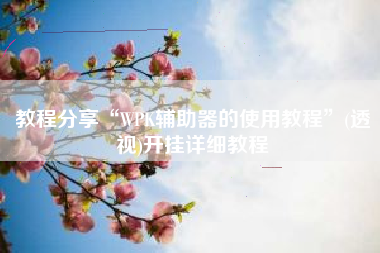 教程分享“WPK辅助器的使用教程”(透视)开挂详细教程