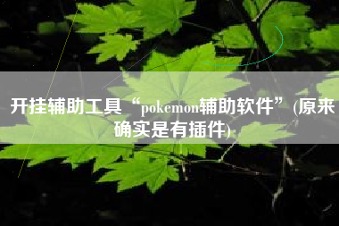 开挂辅助工具“pokemon辅助软件	”(原来确实是有插件)