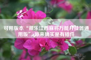 可用版本“微乐江西麻将万能开挂器通用版	”(原来确实是有插件