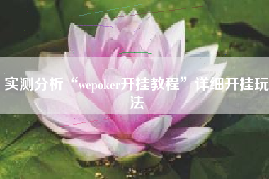 实测分析“wepoker开挂教程	”详细开挂玩法