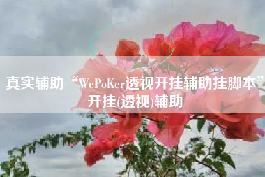 真实辅助“WePoKer透视开挂辅助挂脚本”开挂(透视)辅助