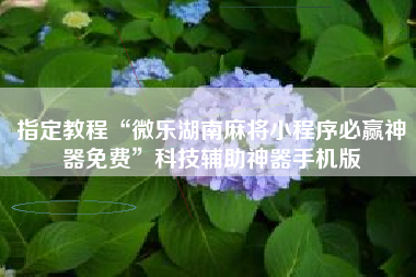 指定教程“微乐湖南麻将小程序必赢神器免费”科技辅助神器手机版