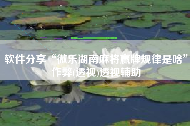 软件分享“微乐湖南麻将赢牌规律是啥”作弊(透视)透视辅助